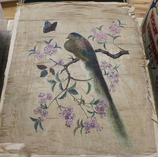 Gouache on silk, study of a perched bird and a group of mainly ornithological studies in watercolour largest 50 x 37cm, all unframed